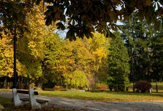 _ilj1593-web-7.jpg