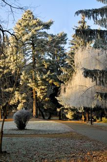 _ilj1753-web-4.jpg